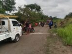 Pendaki Pohon di Cilacap Meninggal Akibat Tersengat Listrik