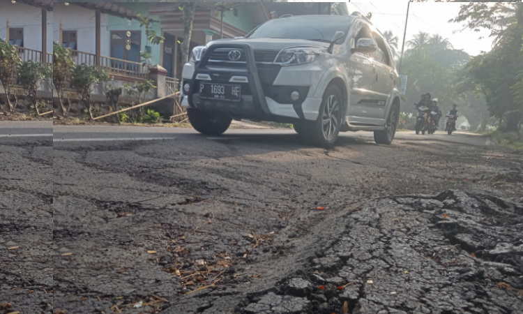 Warga Desa Lembengan Jember Mendesak Pemerintah untuk Memperbaiki Jalan Kabupaten yang Rusak Parah