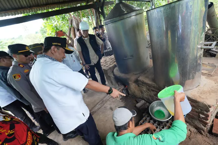 Peluang Baru: Penyelidikan Penyulingan Minyak Kayu Putih di Gowa, Pj Gubernur Bahtiar Menyatakan