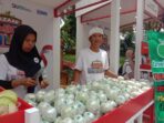 BRI’s KUR Encourages Progress of Crystal Guava Cluster in Purworejo