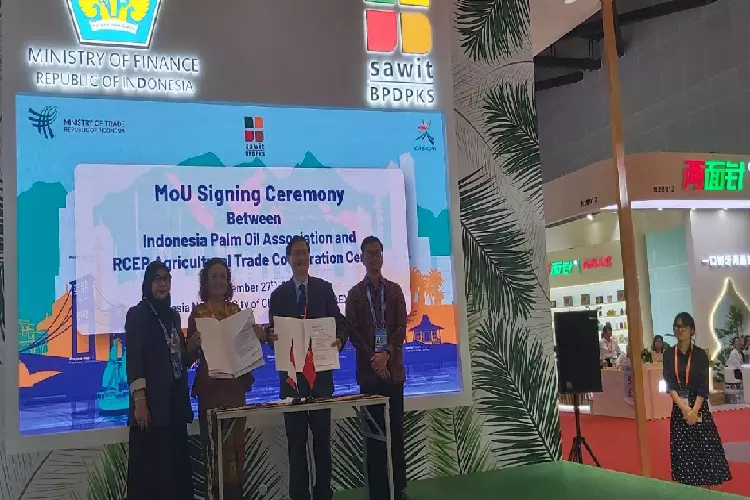 GAPKI dan RCEP Cultural Trade Cooperation Center Menandatangani MoU untuk Memperkuat Perdagangan Kelapa Sawit di CAEXPO-CABIS 2024