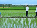 Aktivis Papua Mendorong Untuk Menghentikan Proyek 1 Juta Hektar Sawah di Merauke