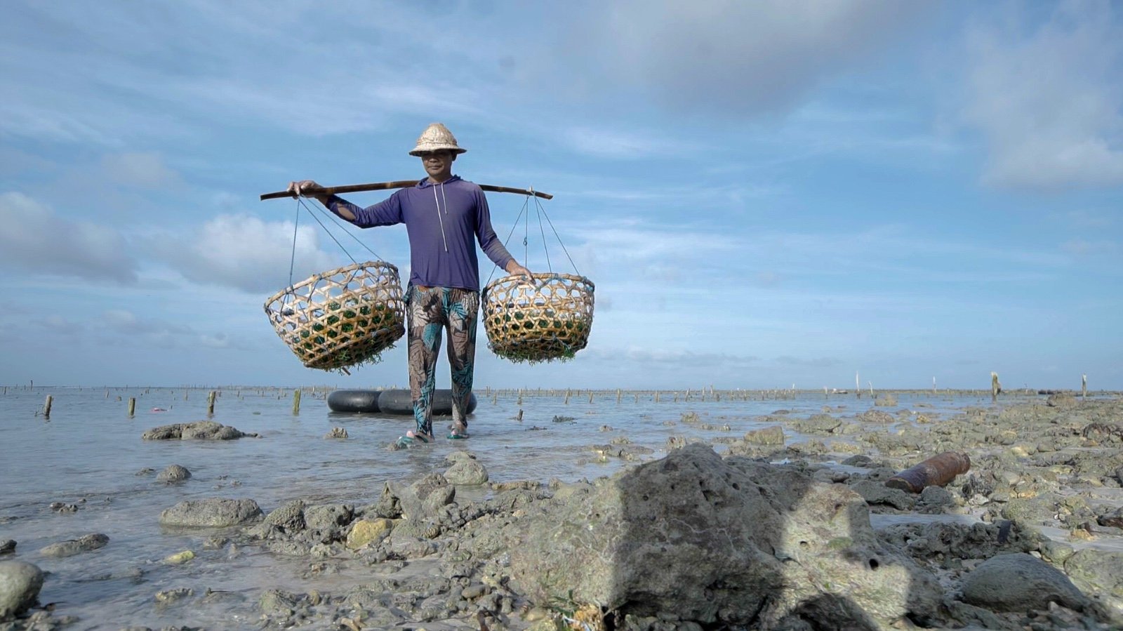 Pemberdayaan BRI Meningkatkan Potensi Usaha Klaster Rumput Laut Semaya di Nusa Penida